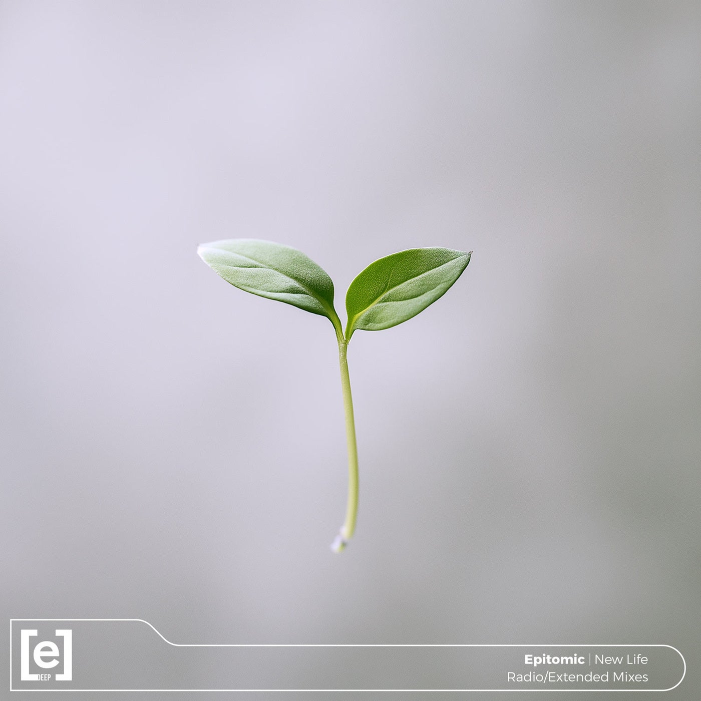 New Life