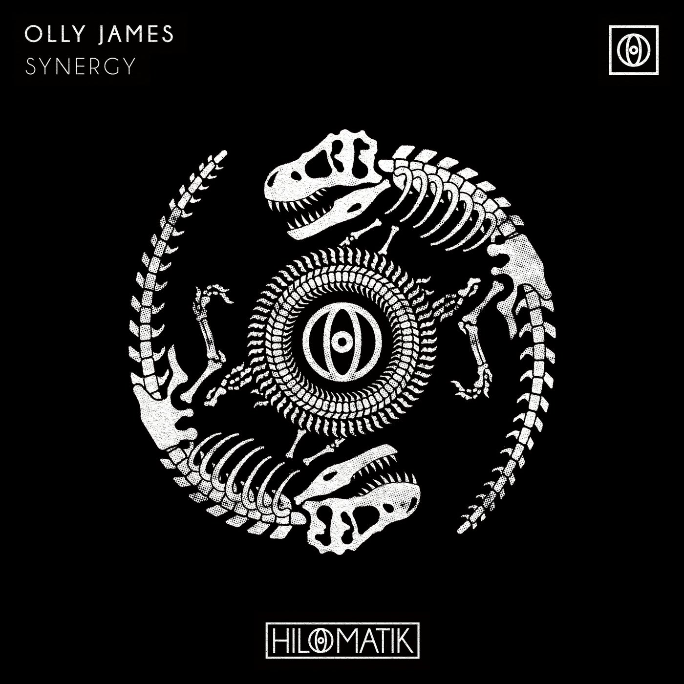 Synergy (Extended Mix)