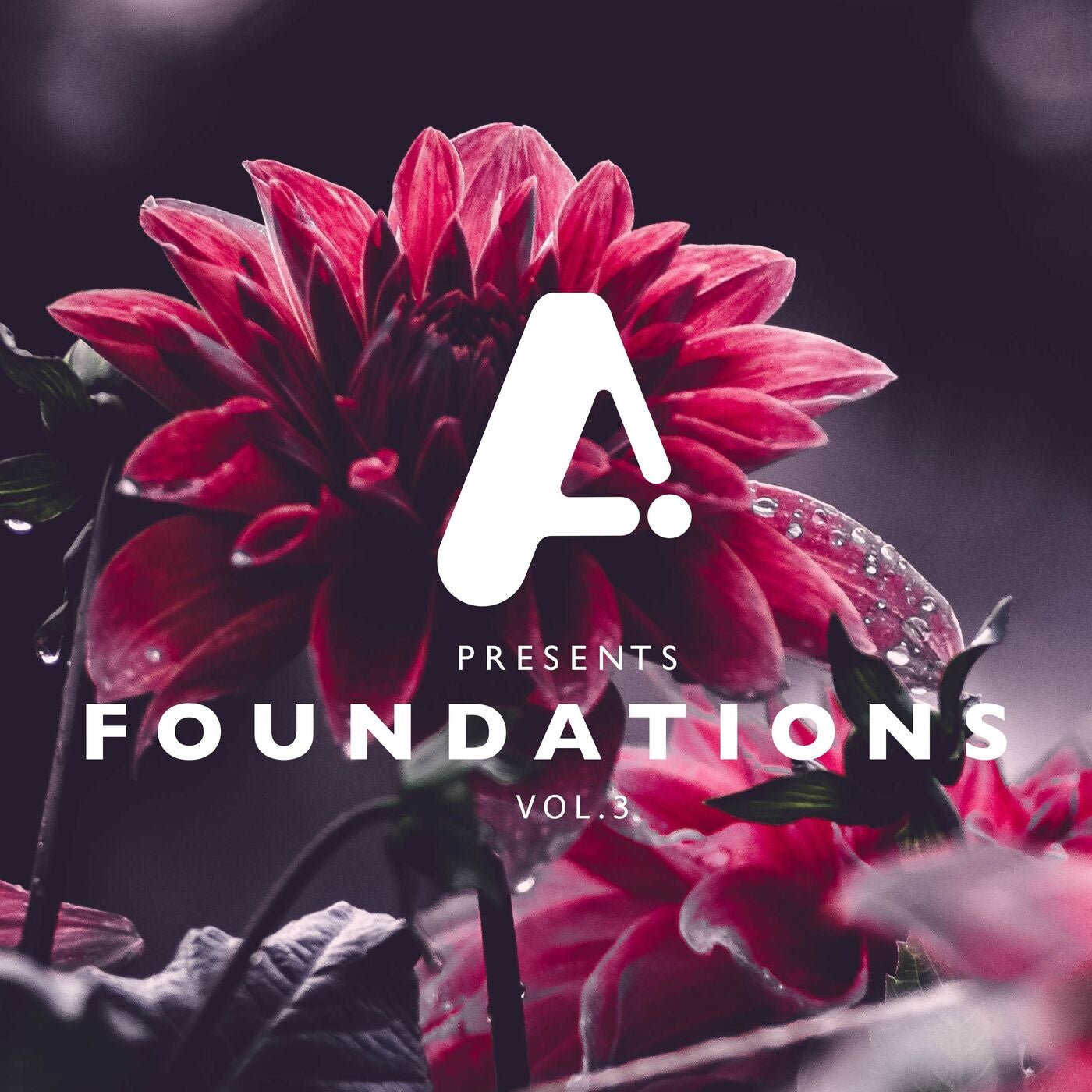 Foundations, Vol. 3