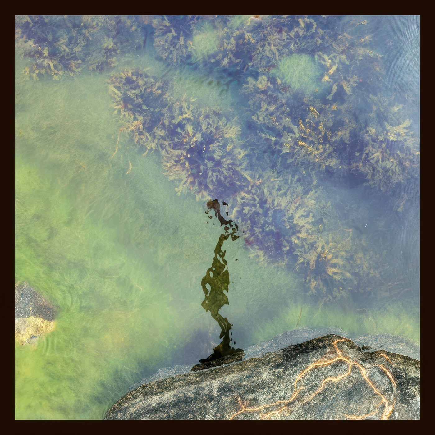 Cover art for 7 Modes for a Revolution - I - Single