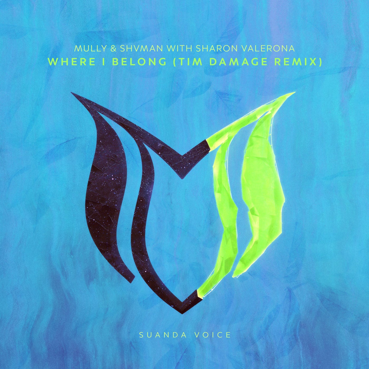 Where I Belong (Tim Damage Remix)