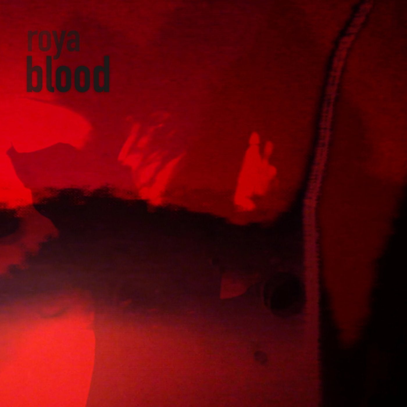 Blood