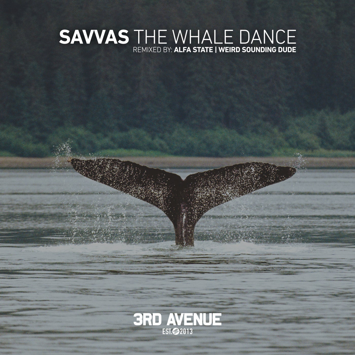 The Whale Dance