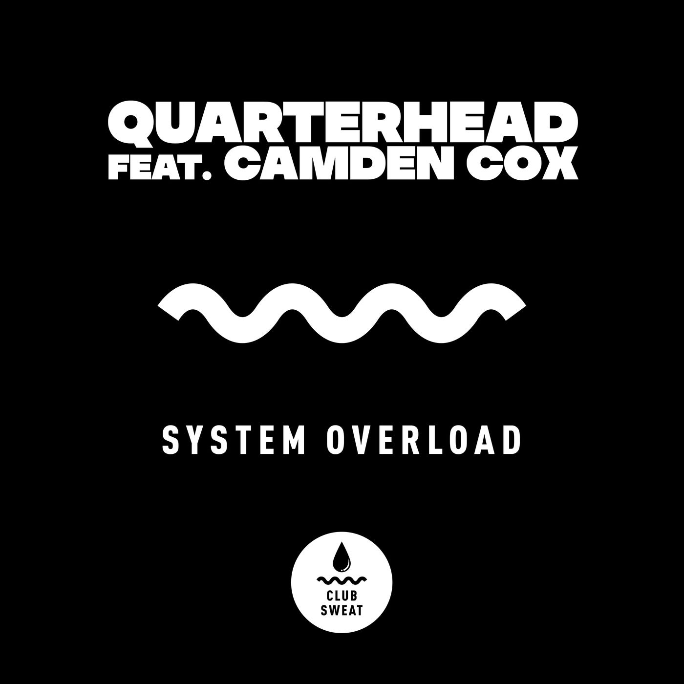 System Overload (feat. Camden Cox) [Extended Mix]