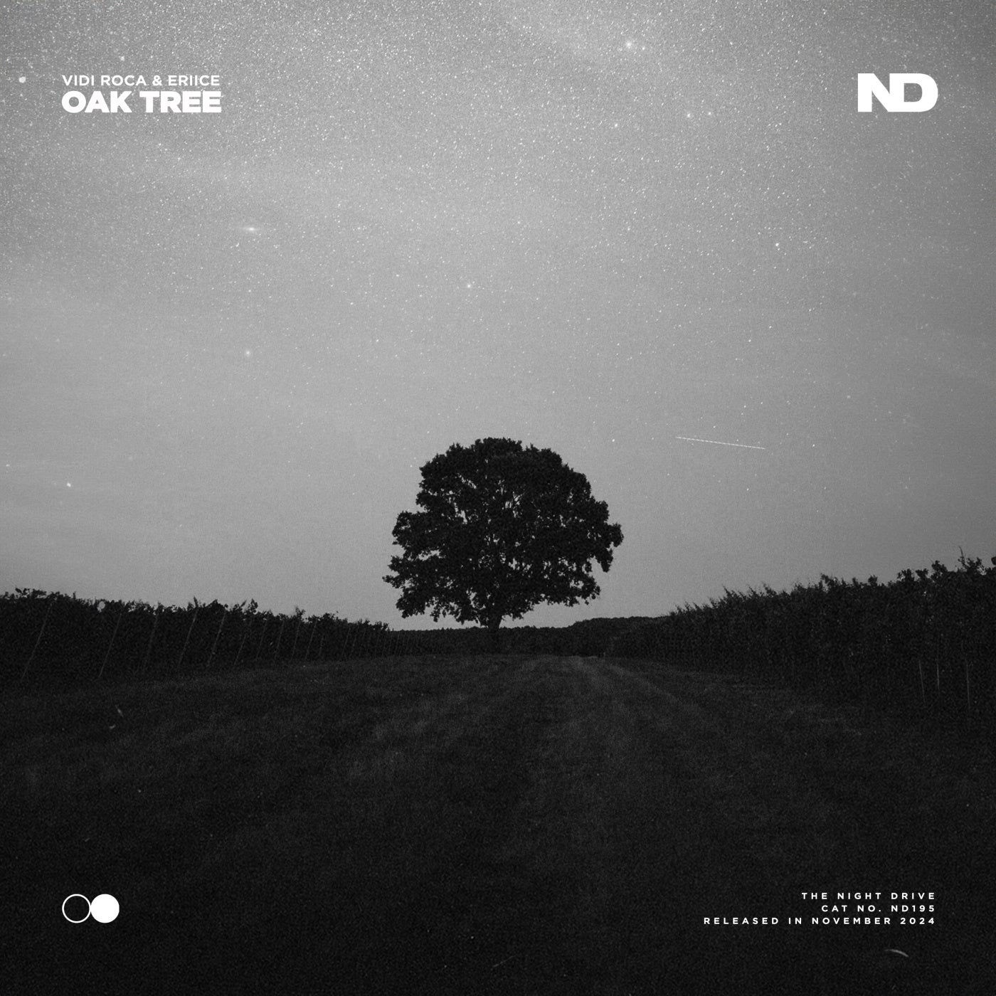 Oak Tree