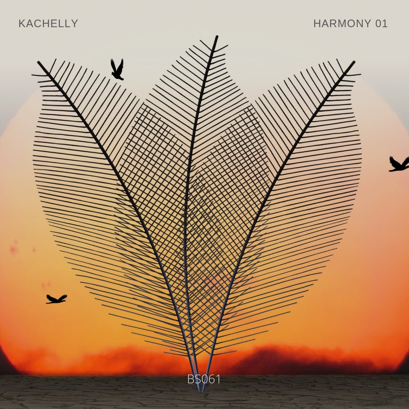 Harmony 01