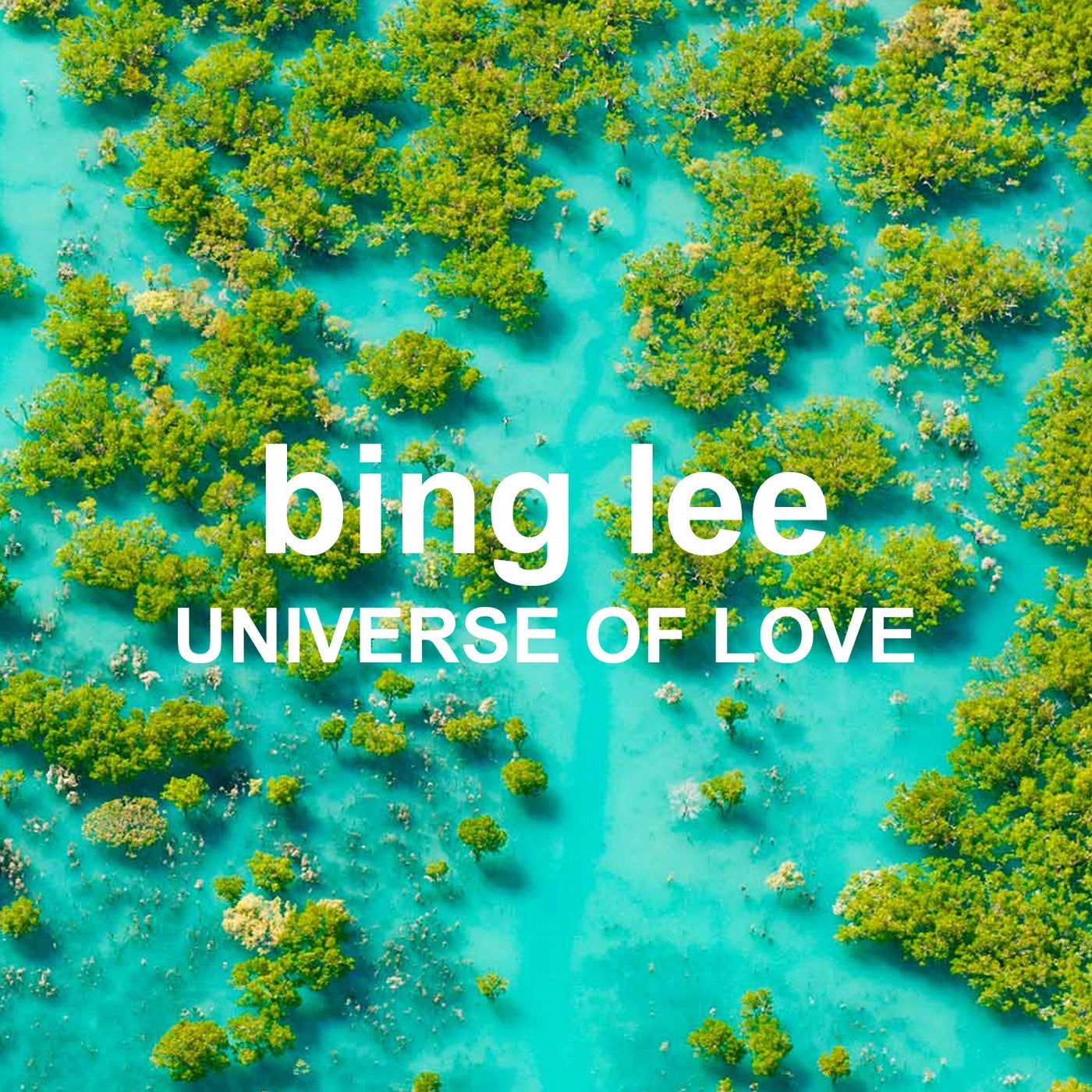 Universe Of Love