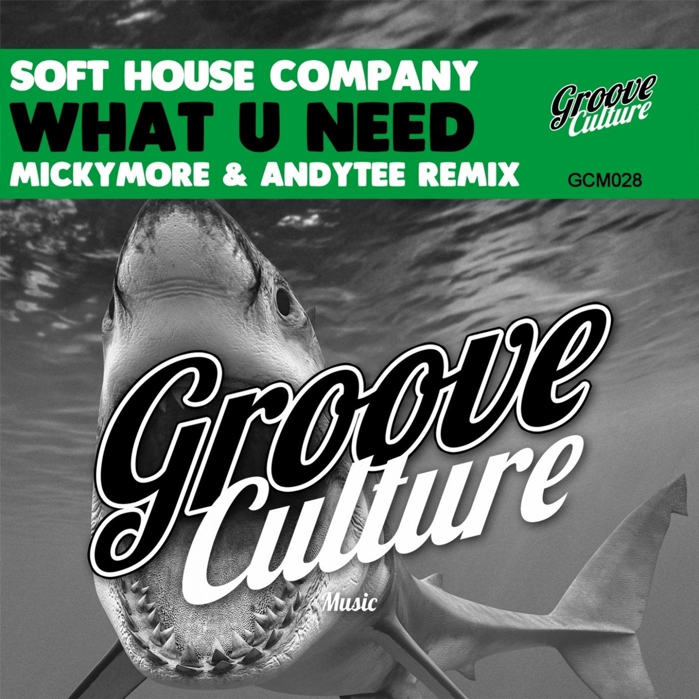 Софт Хаус. Groove Culture. Микки море, Andy Tee. Альбом Micky more & Andy Tee: the collection.