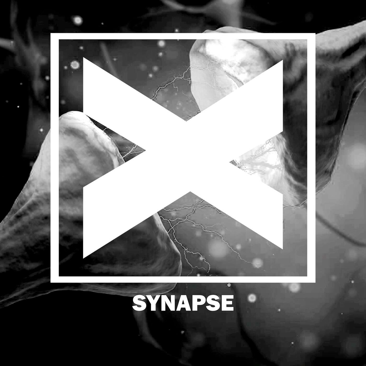 Synapse