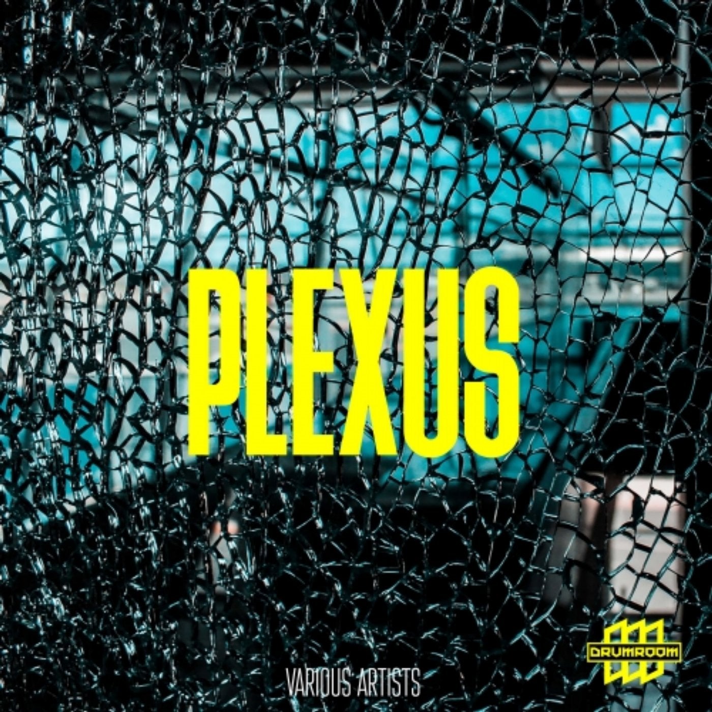 Plexus