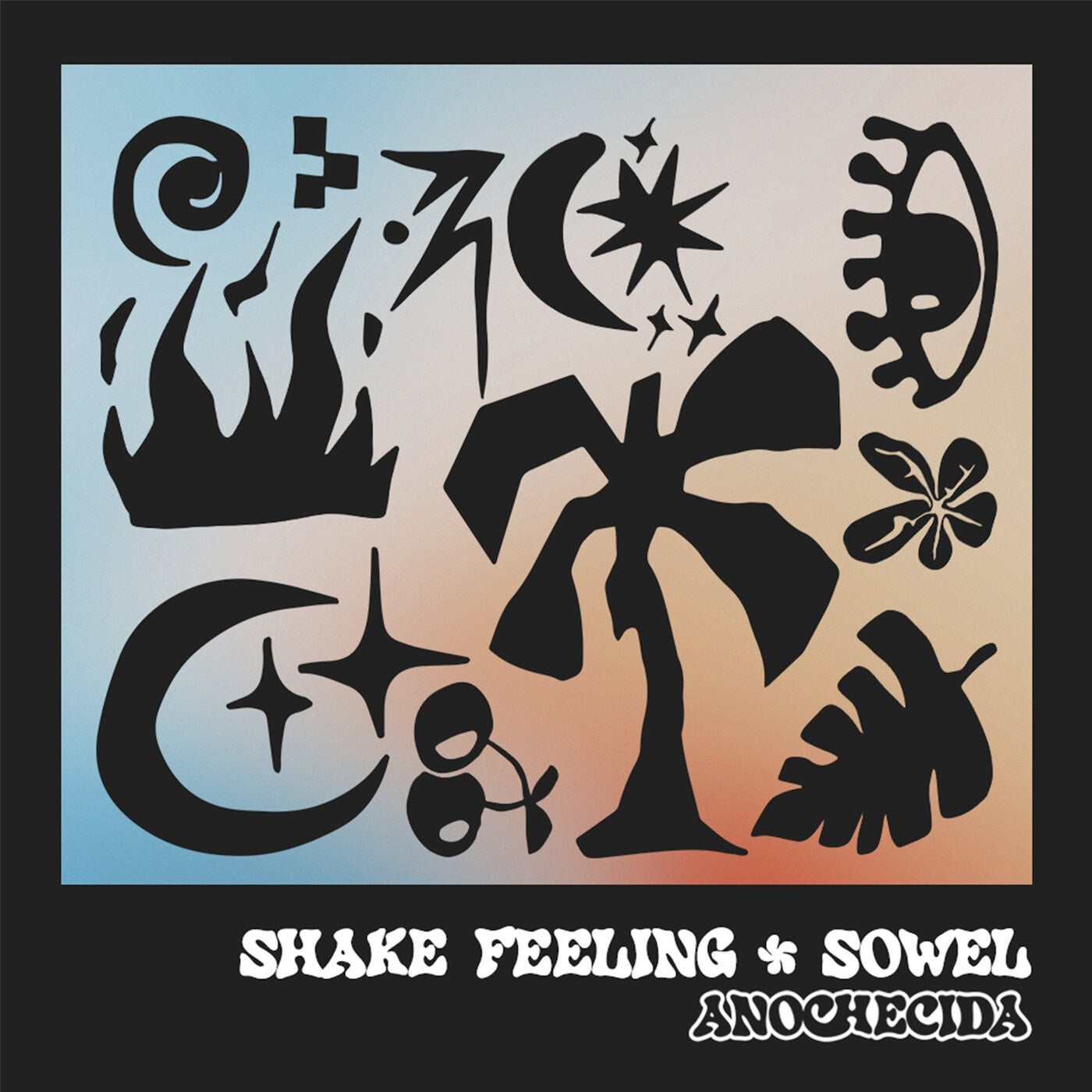 Shake Feeling