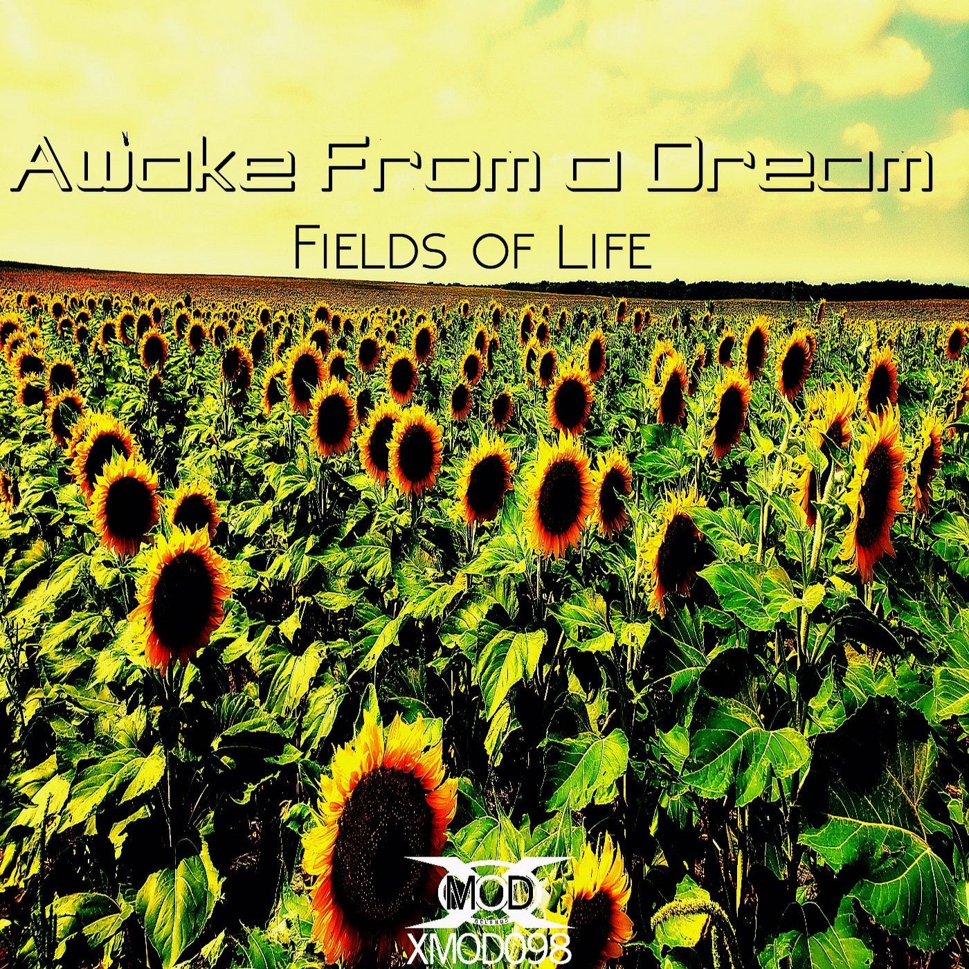 Fields Of Life
