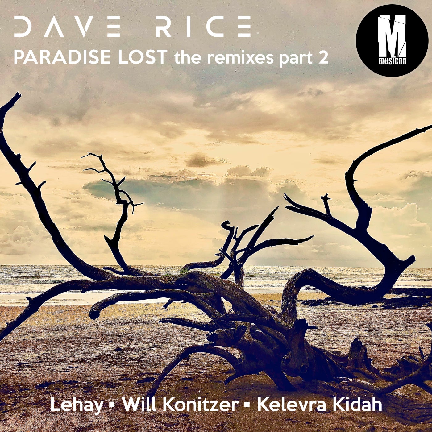Paradise Lost Remixes, Pt. 2