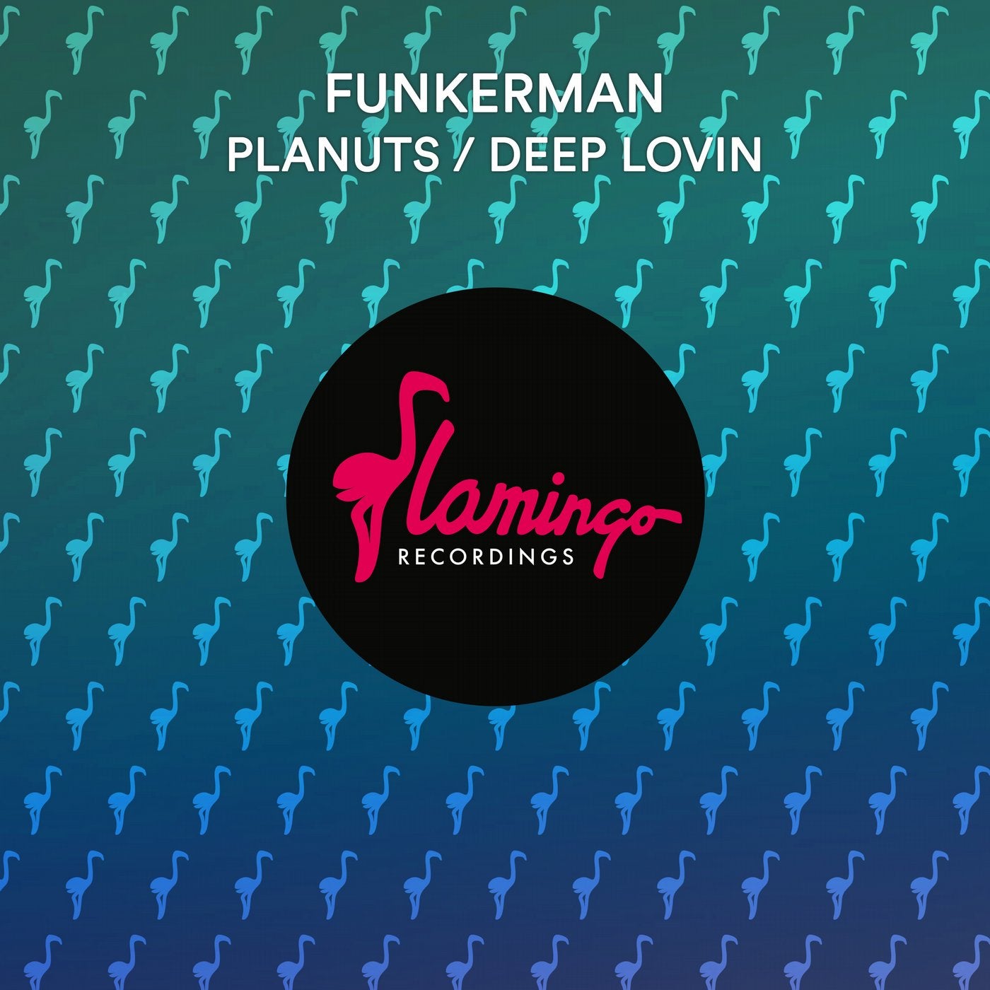 Planuts / Deep Lovin - Extended Mix