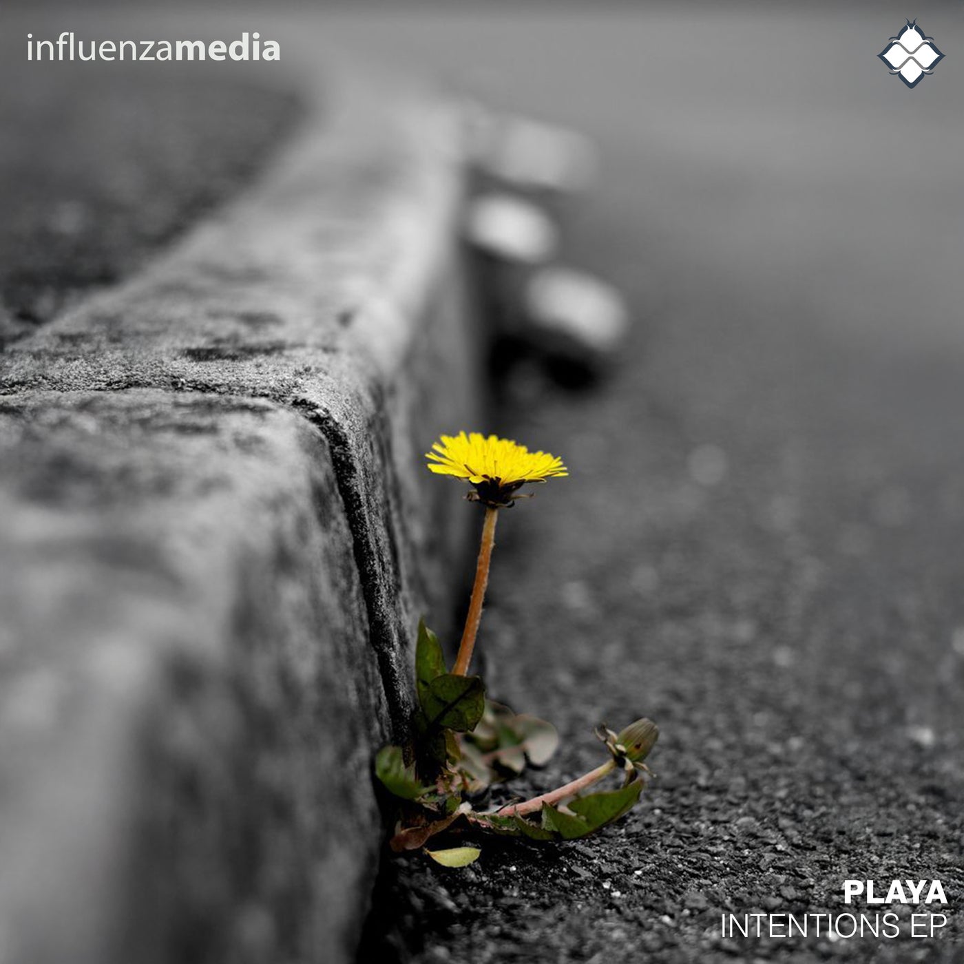 Cover art for Intentions EP