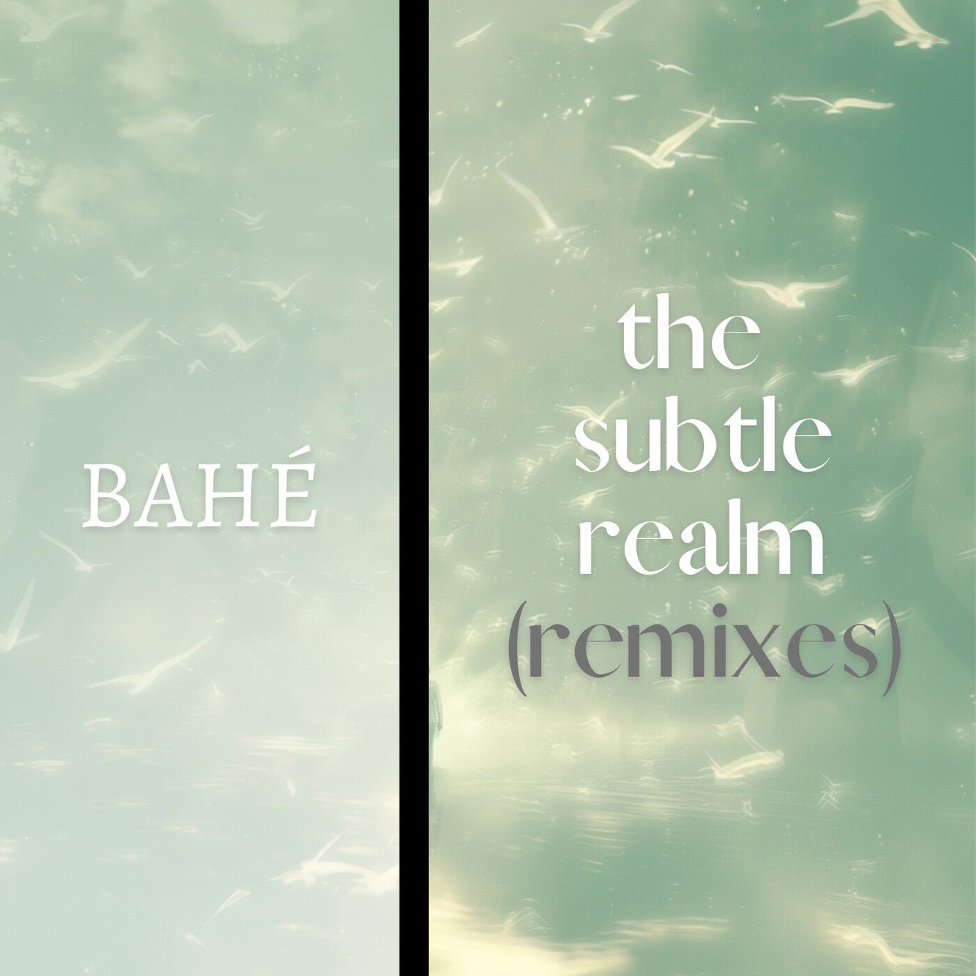 The Subtle Realm (Remixes)