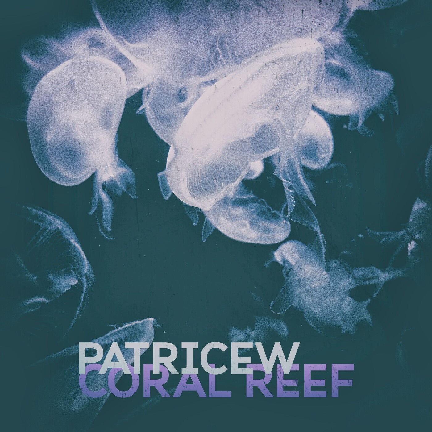 Coral Reef