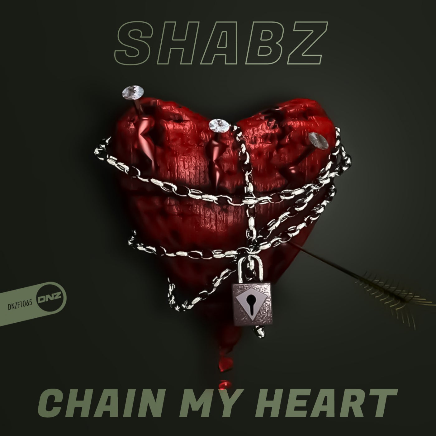 Shabz - Chaint My Heart