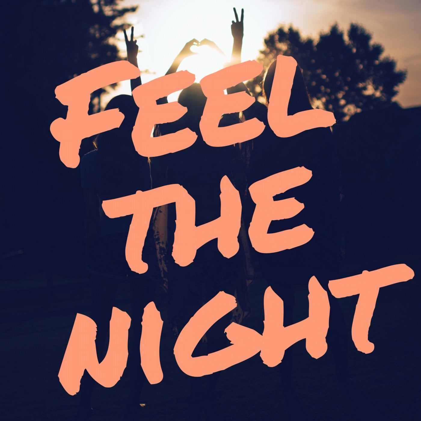 Feel the Night
