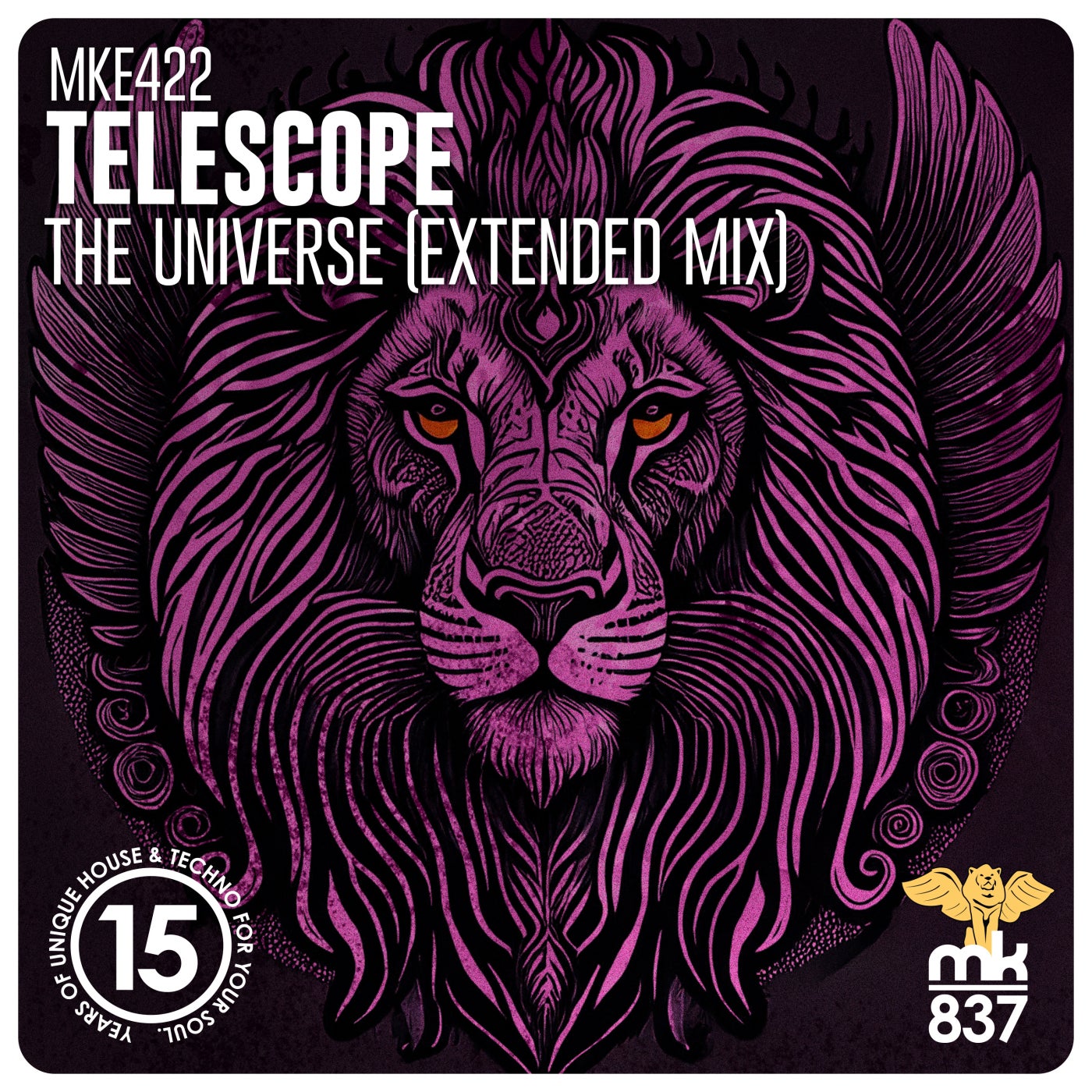 The Universe