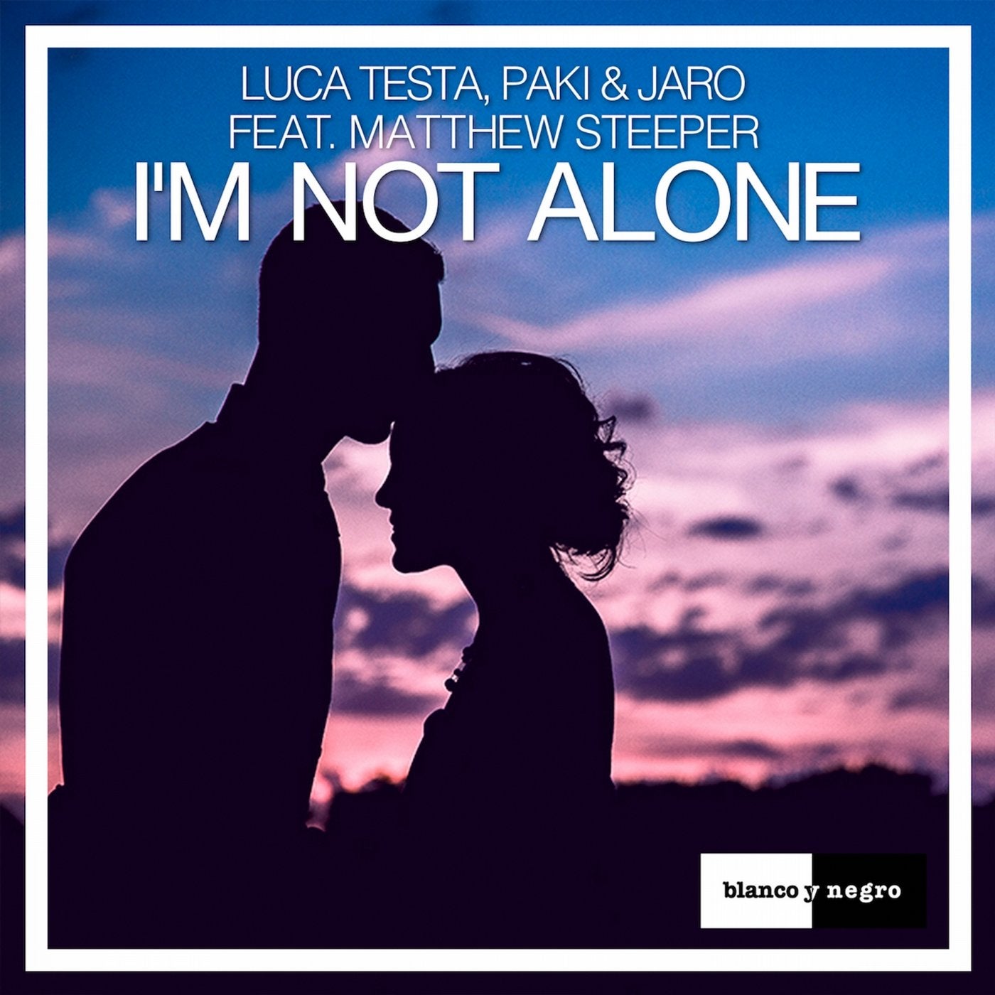 I'm Not Alone (feat. Matthew Steeper)