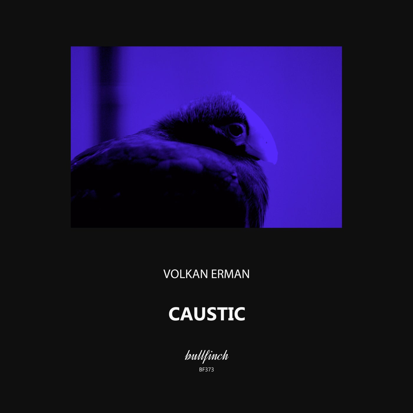 Caustic