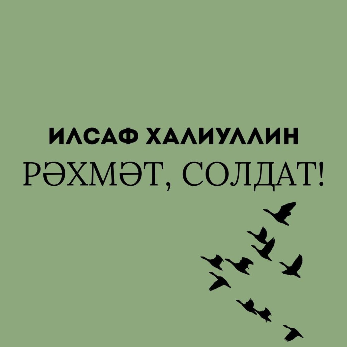 Rәhmәt, soldat!