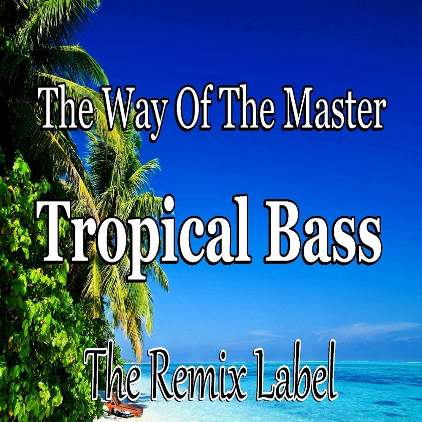 The Way Of The Master / Tropical Bass (Inspiring Proghouse Meets Vibrant Deephouse Music) - Single