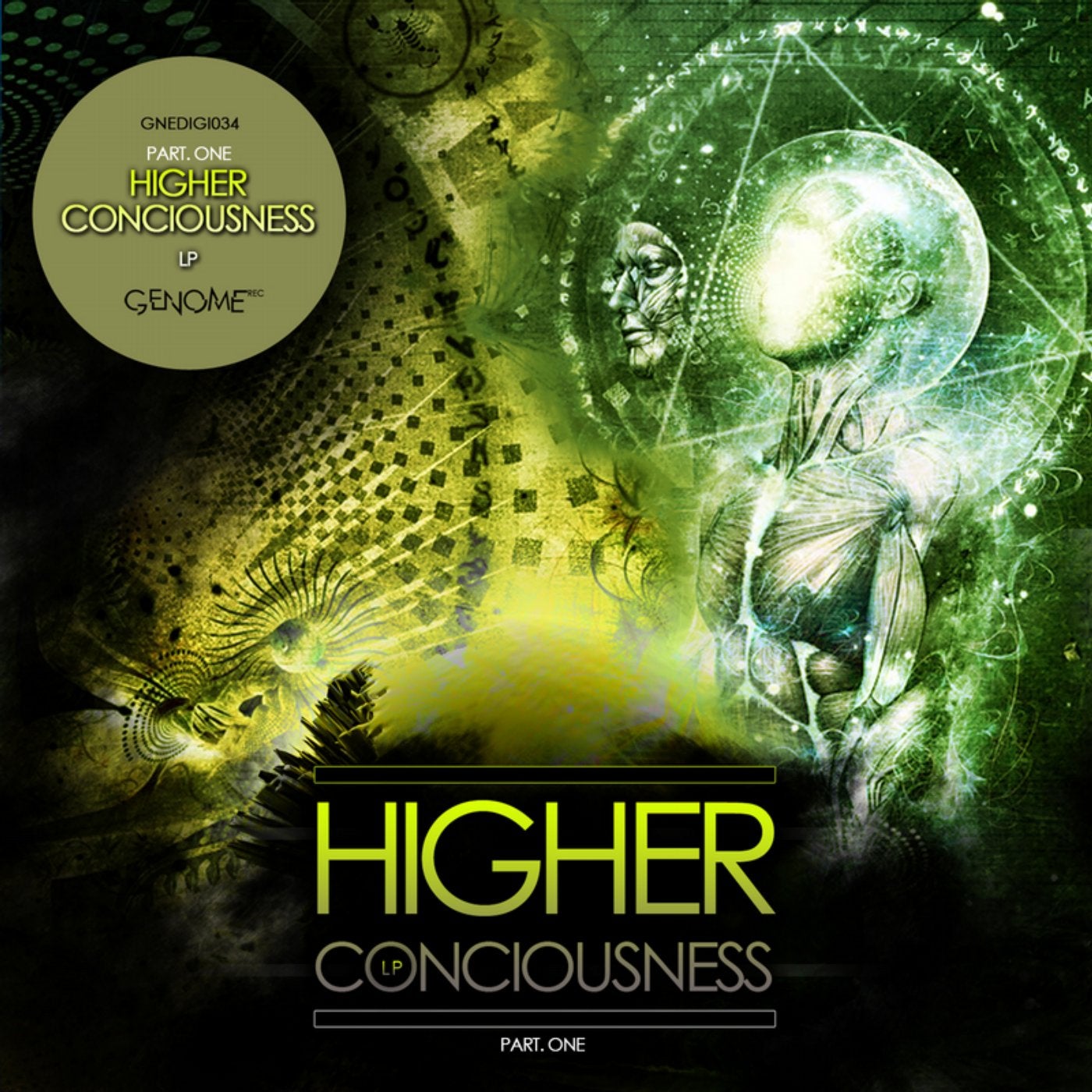 Higher Consciousness