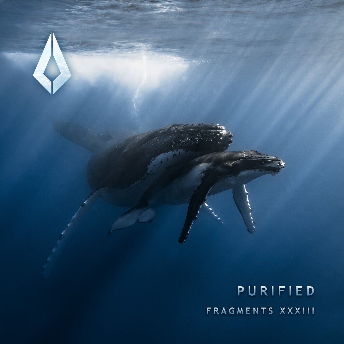 www.beatport.com