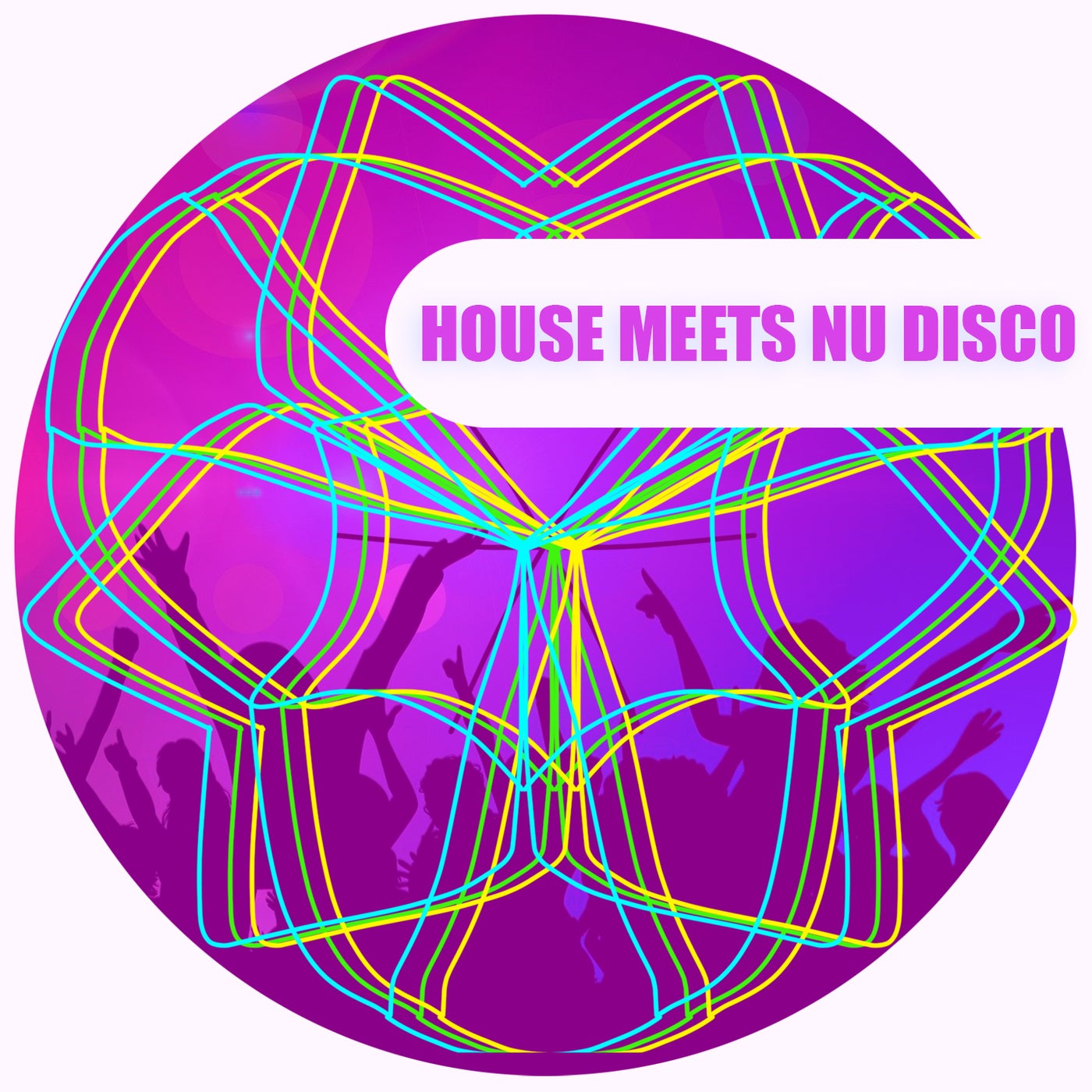 House Meets Nu Disco