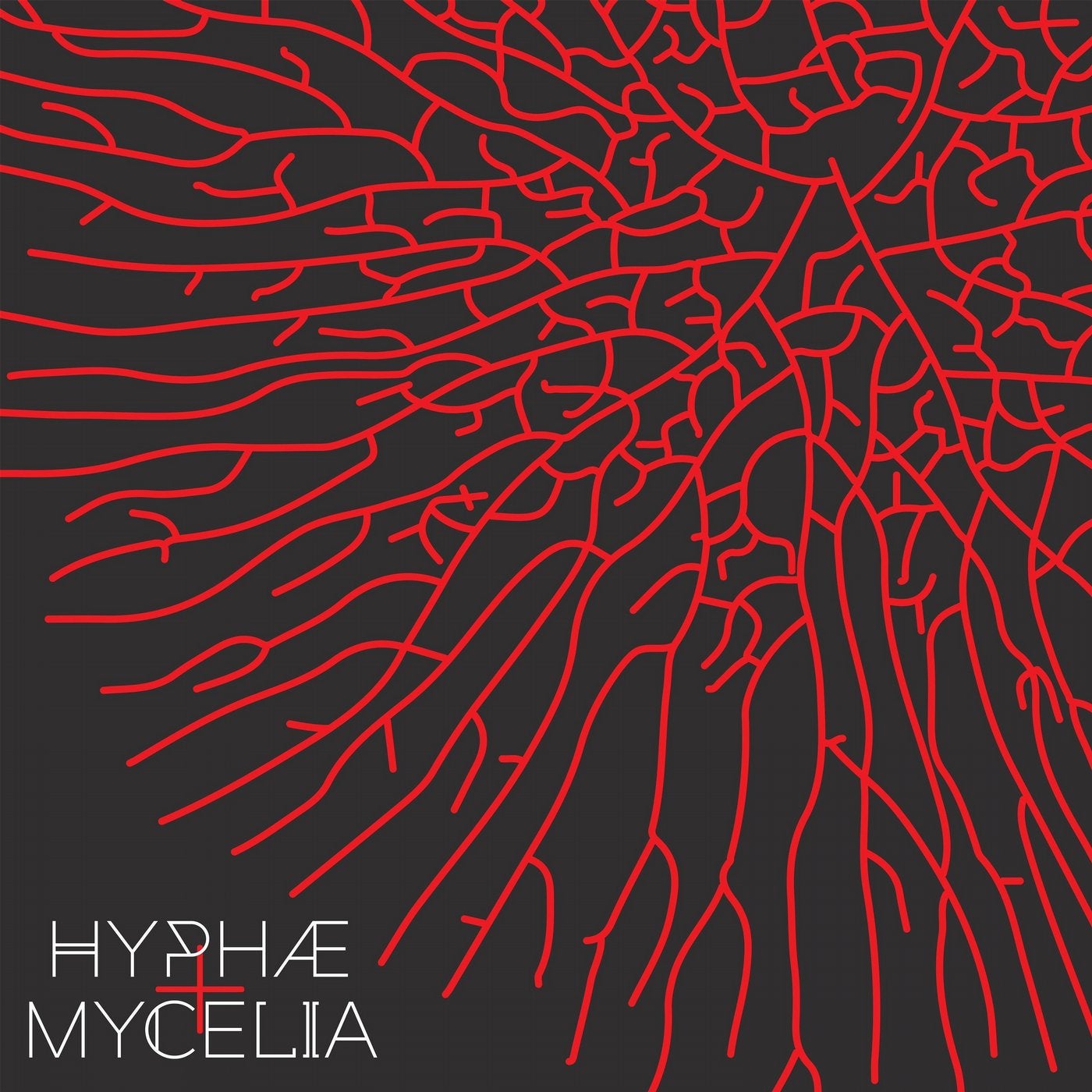 Hyphae+ Mycelia