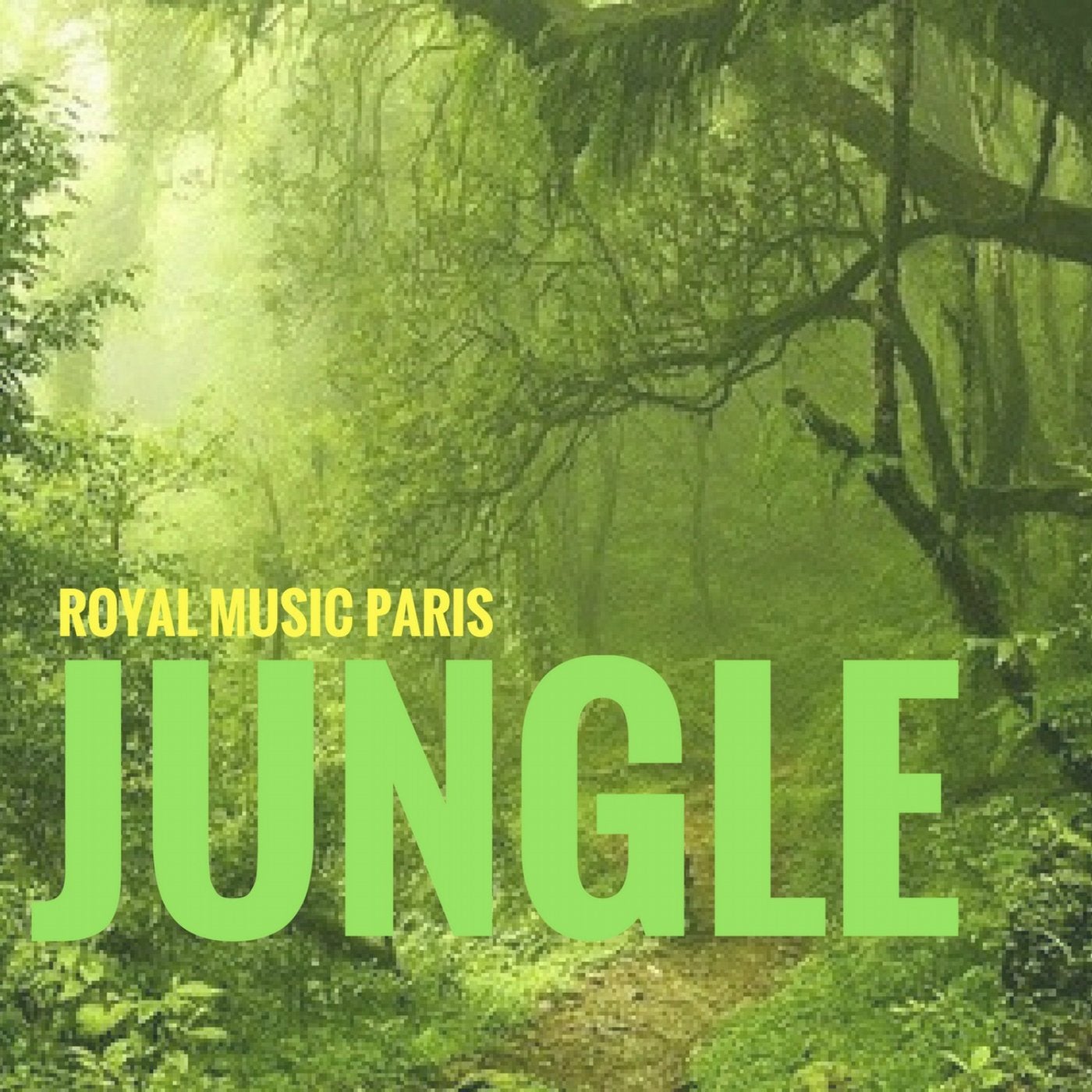 Jungle слушать