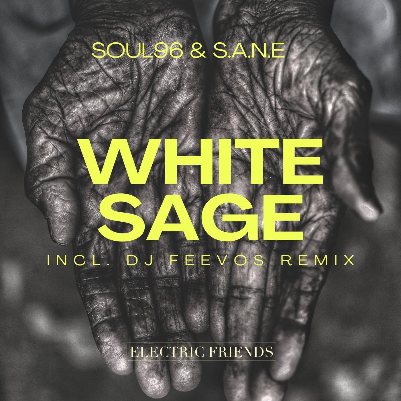 White Sage