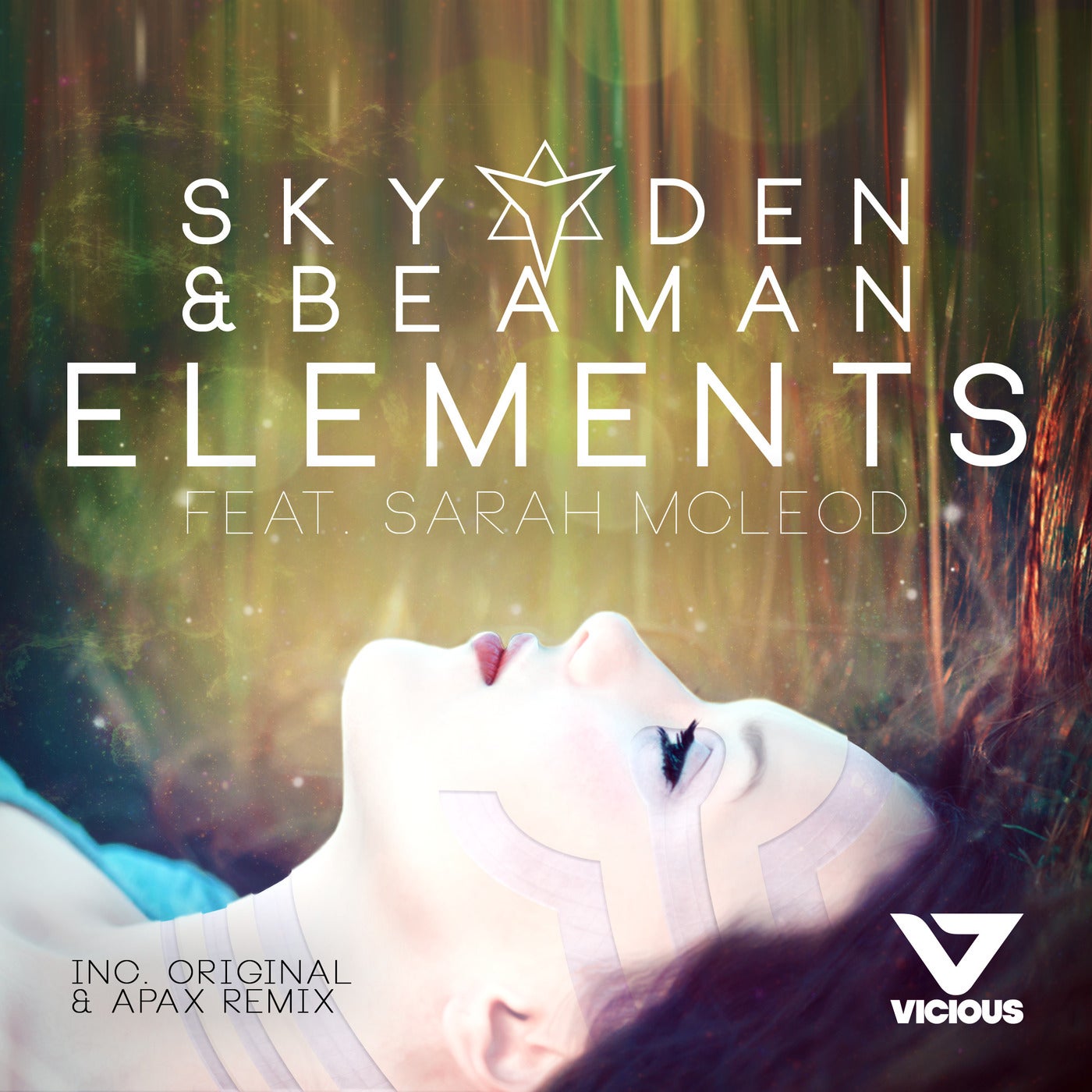 Ft элемент. Элементы сар. We elements. Vicious recordings 2013.