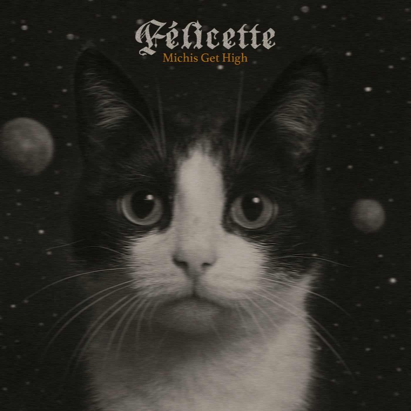 Felicette