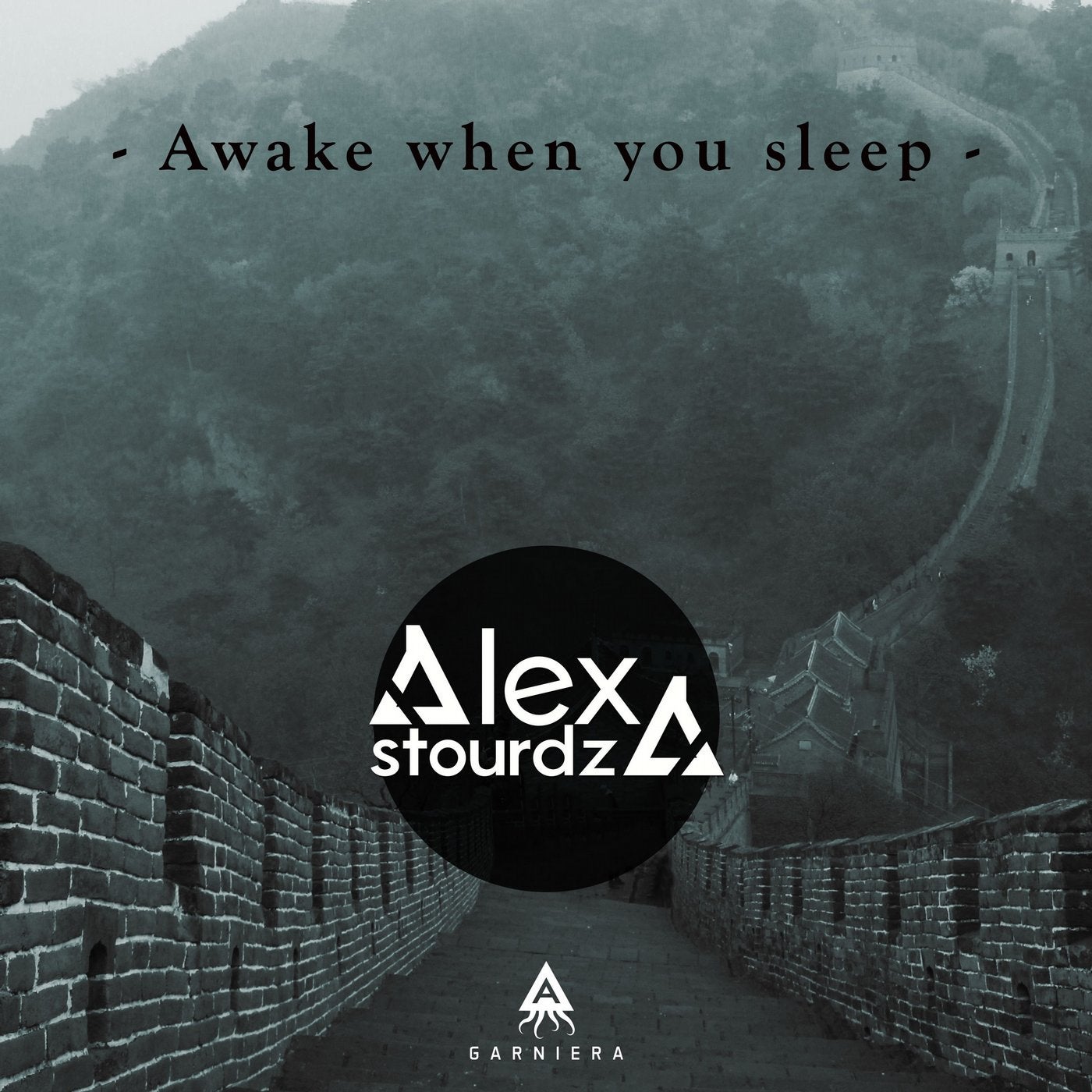 Awake When You Sleep