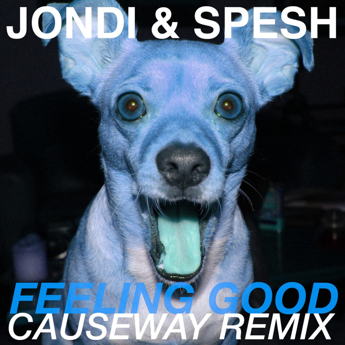Feeling Good (Causeway Remix)