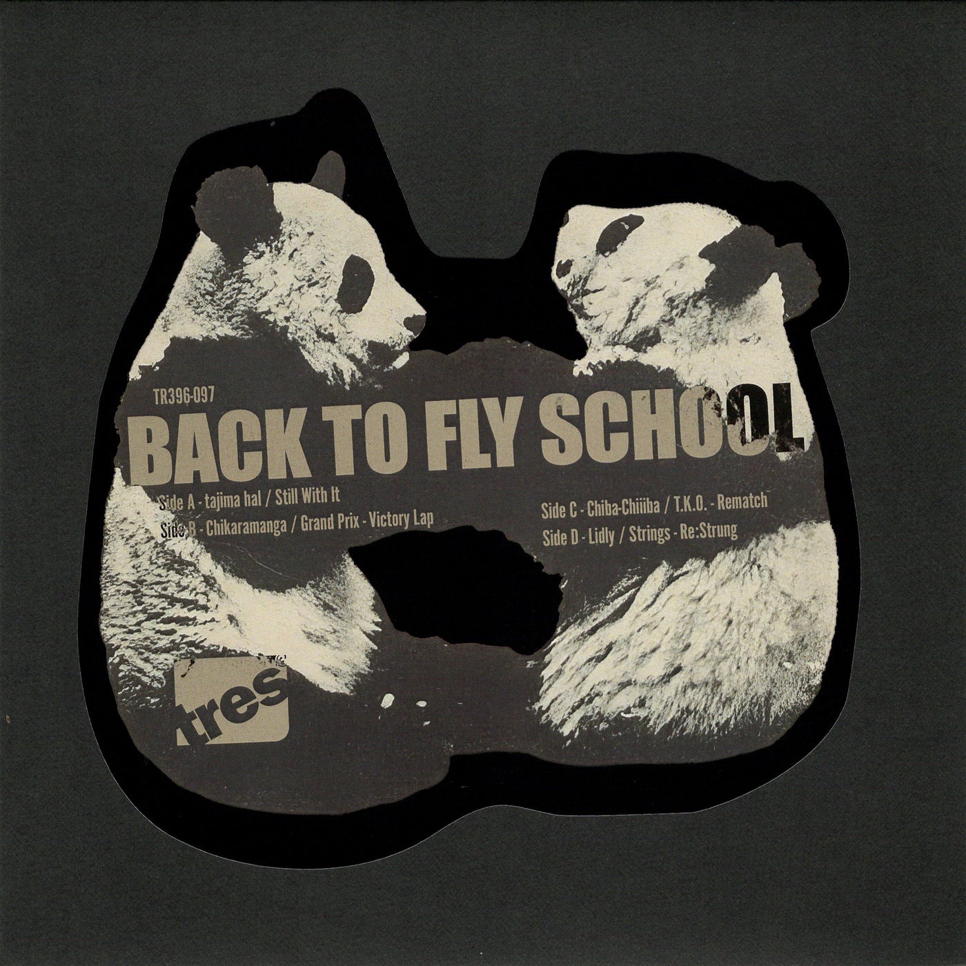 Back to Fly School