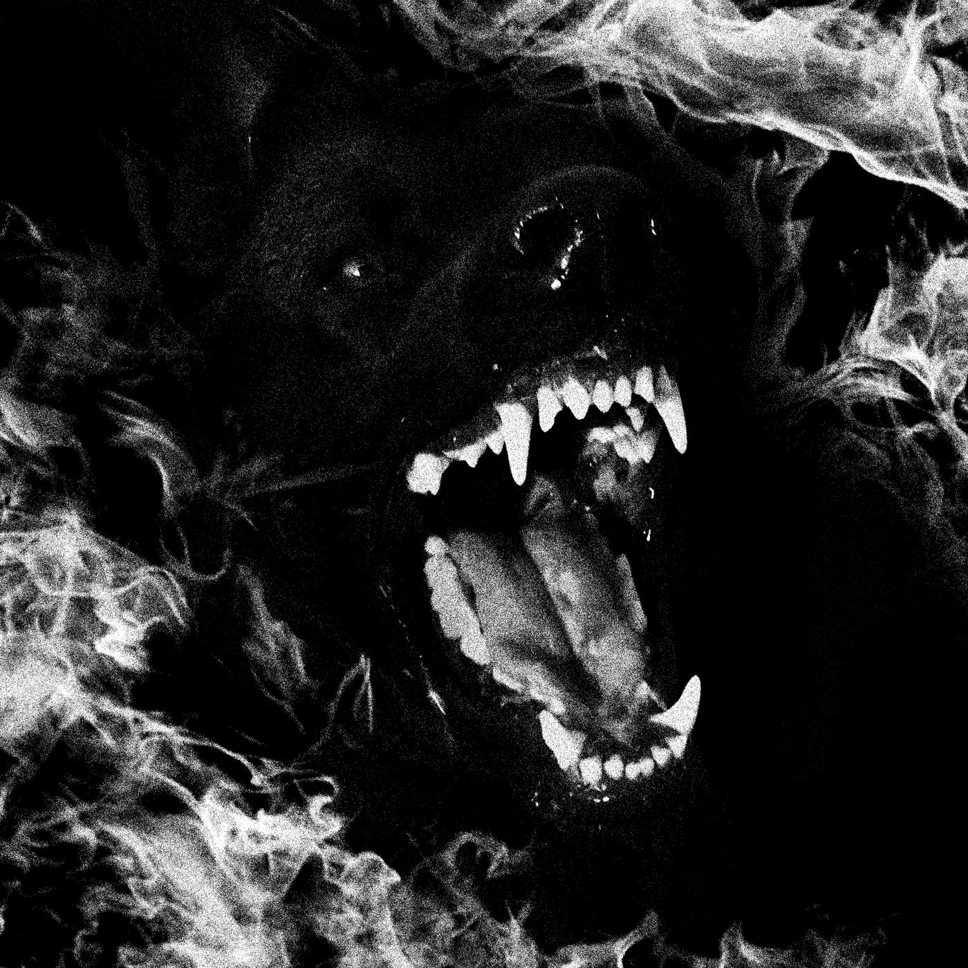 Burn It Down