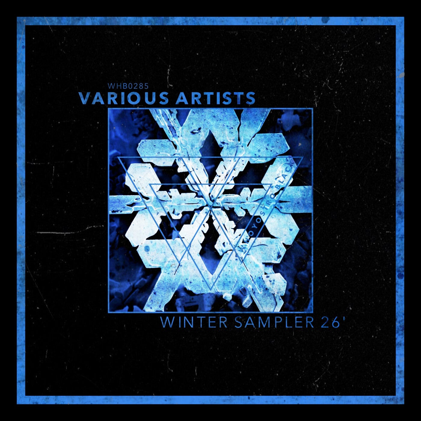 Winter Sampler 26'