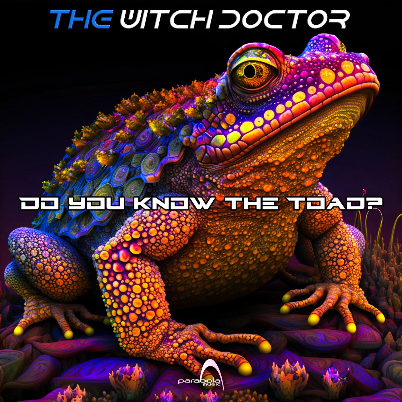 Do You Know The Toad