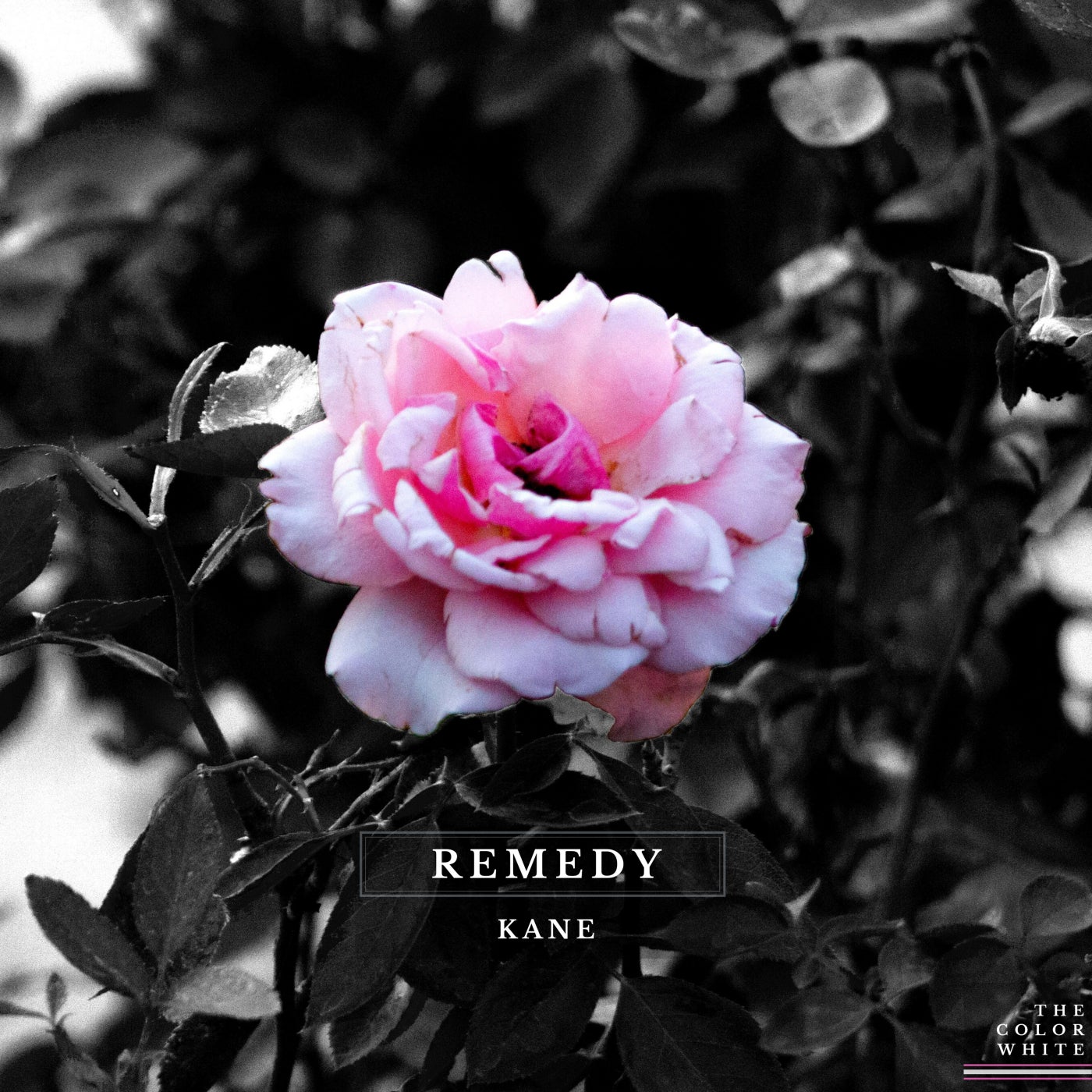 Remedy