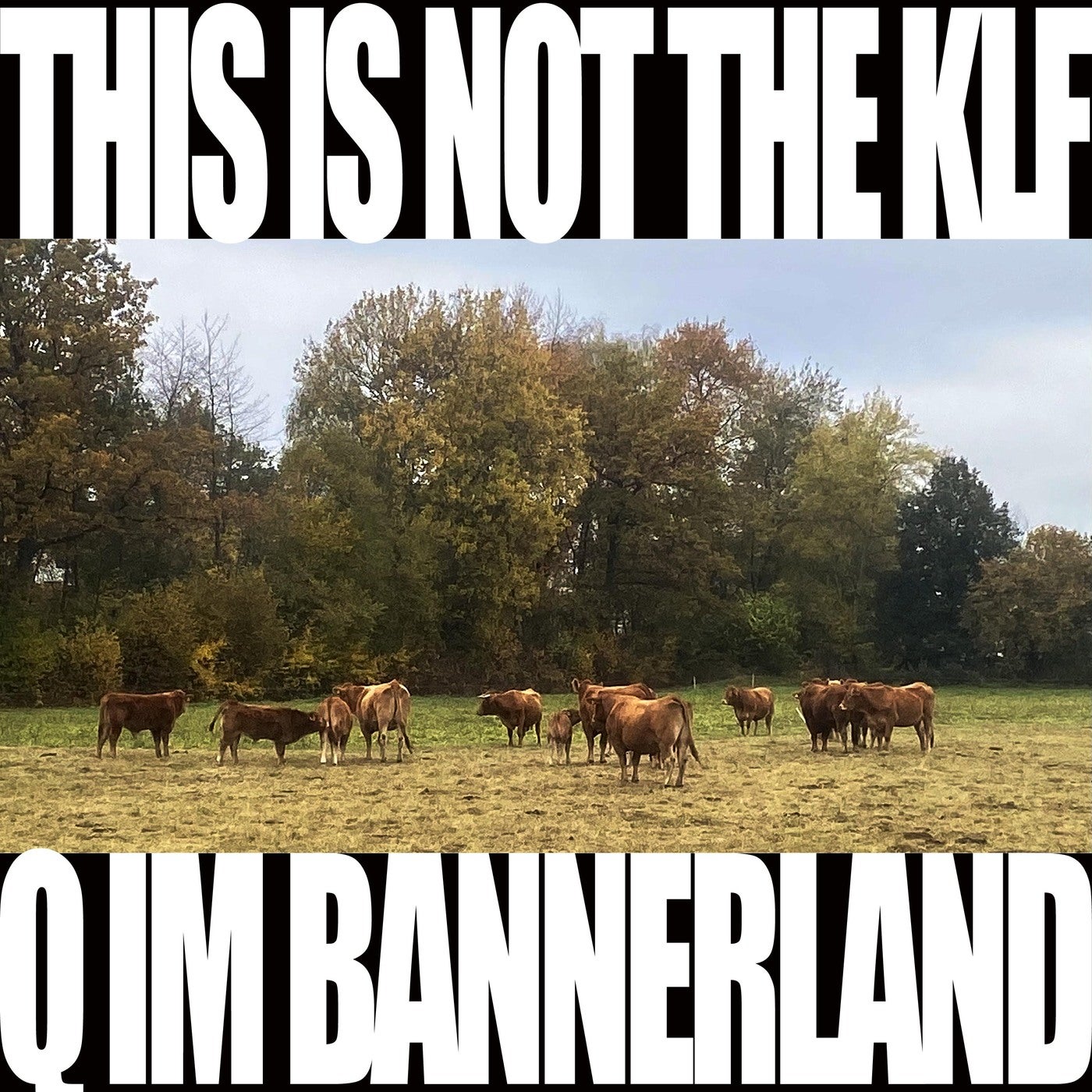 This Is Not The KLF (Q im Bannerland)