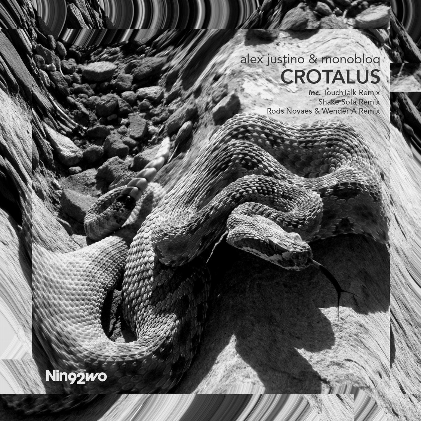 Crotalus