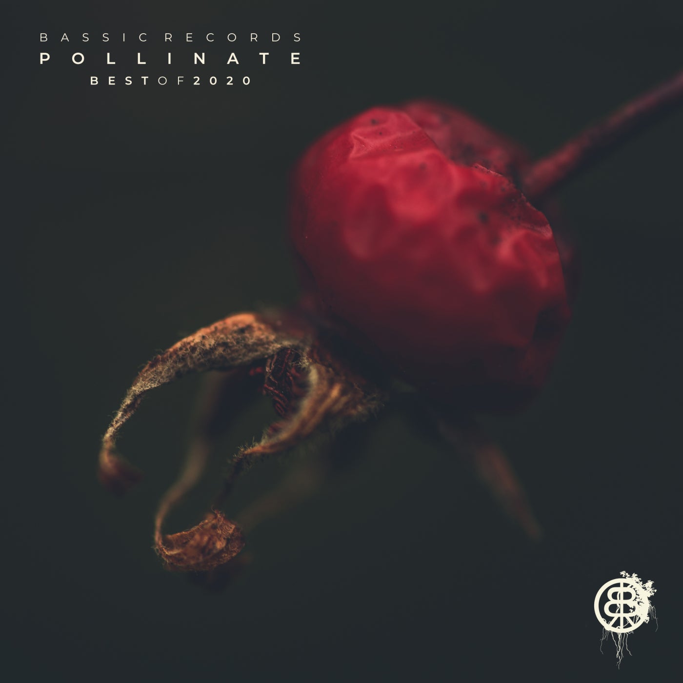 Pollinate - Best of 2020