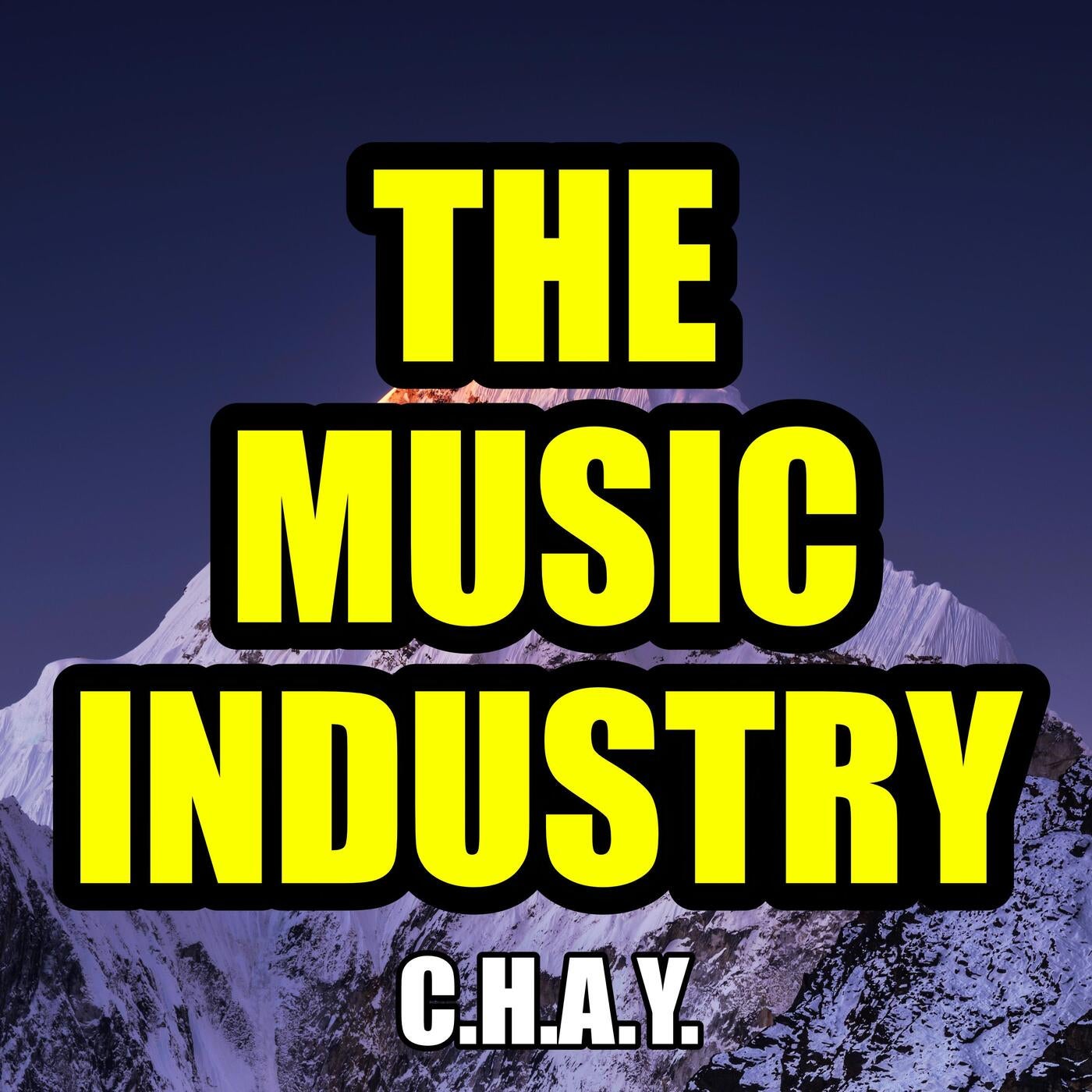 THE MUSIC INDUSTRY