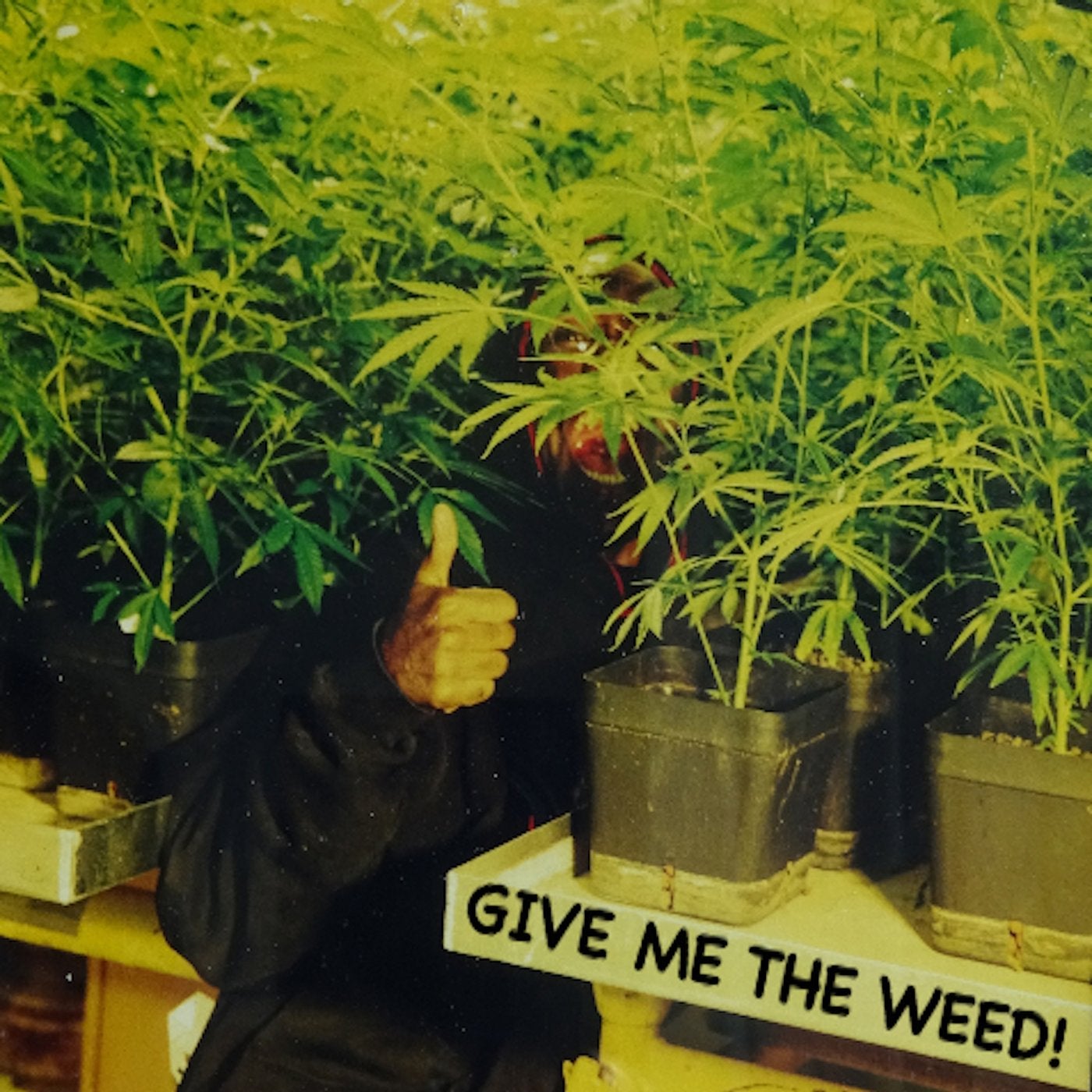 Give Me the Weed!