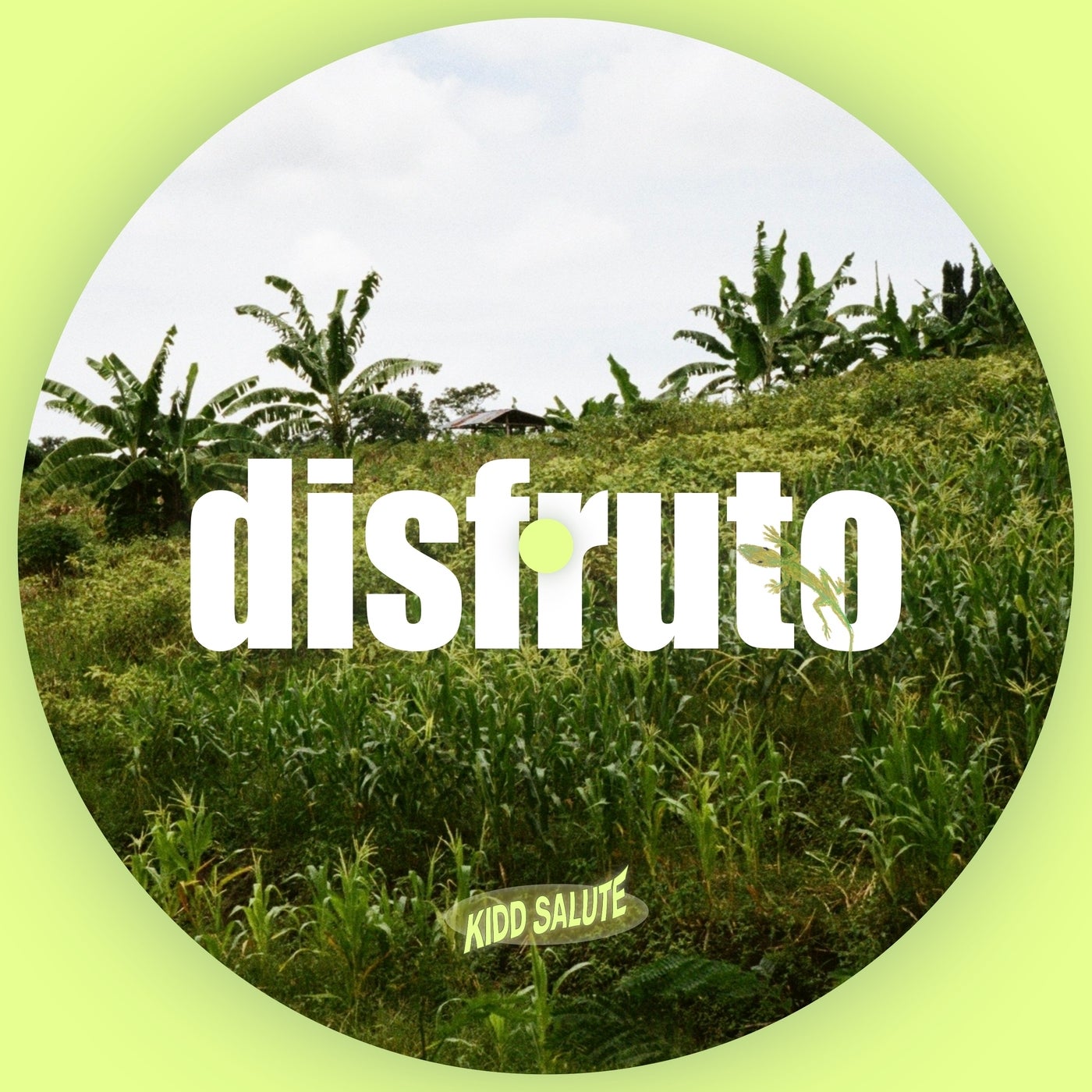disfruto