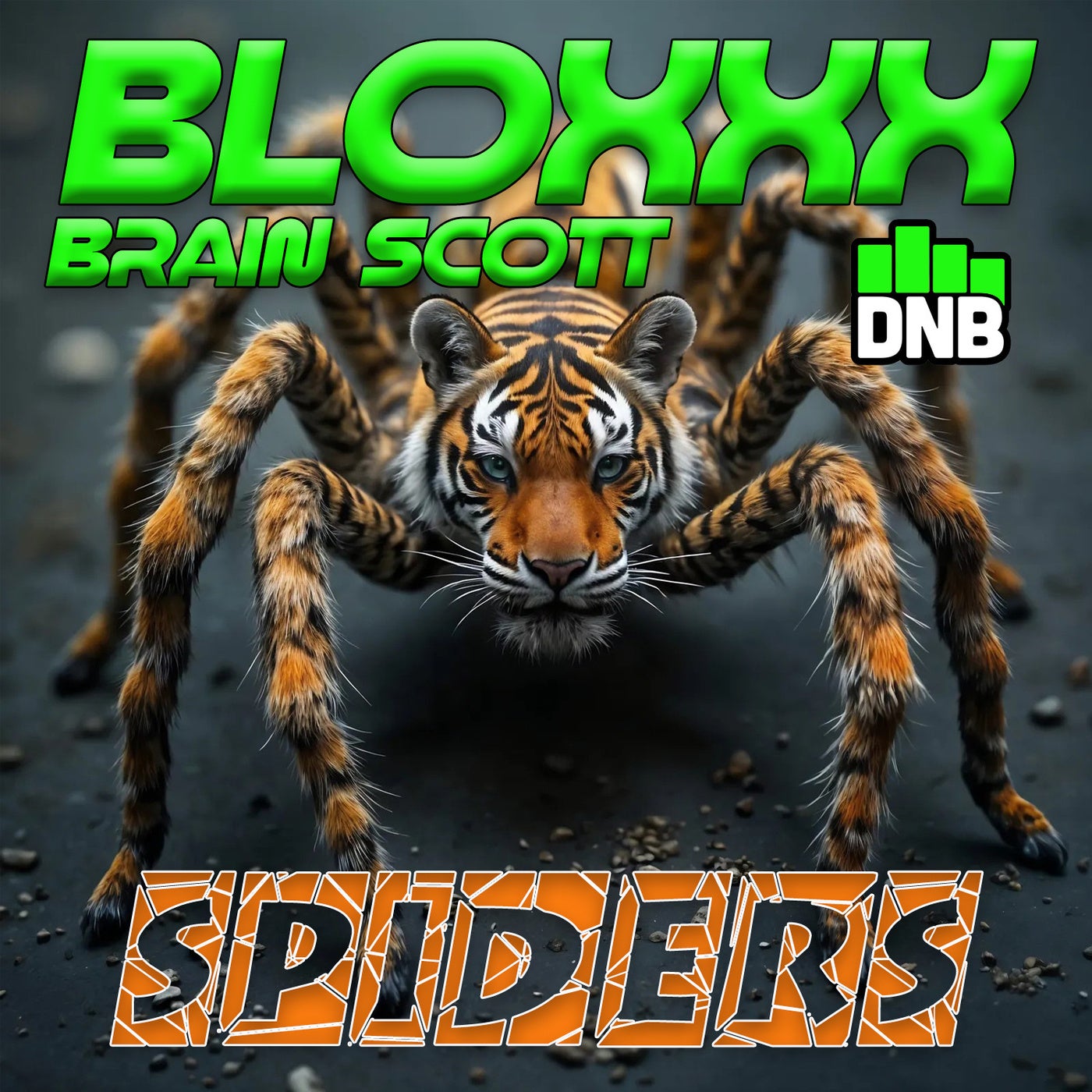 Spiders